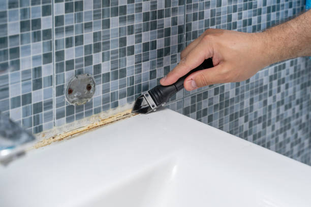 Best White Mold Remediation in Jarales, NM